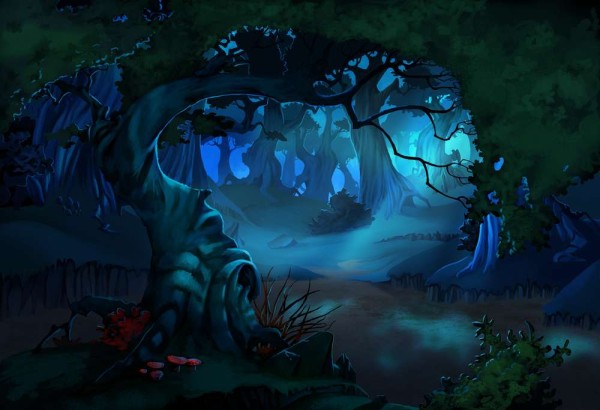 The forest at night